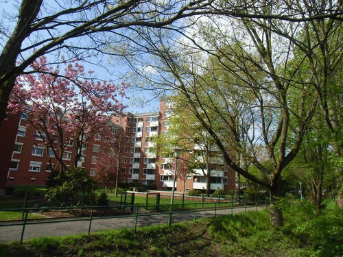 Wohnanlage - Tolle 2-Zi.-Wohnung - Sonne und Fernblick garantiert