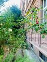 Vorgarten - #VERMITTELT# Schönes Mehrfamilienhaus aus der Jahrhundertwende mit Garage und Hinterhäuschen -