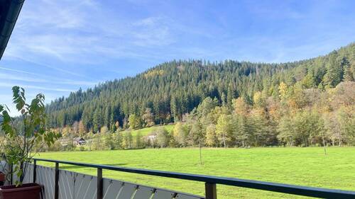 Ausblick vom Nord-West Balkon - 