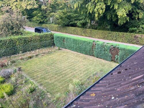 Garten (3) - 