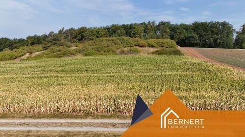 Luftbild nördlich - 