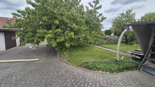 Blick aufs Grundstück - 