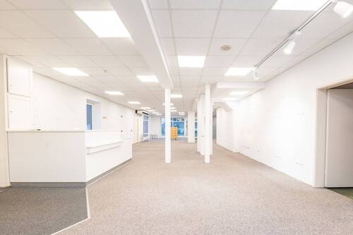 Gewerbefläche - 5 Zimmer Gewerbeobjekt (Büro, Produktion, Verkauf) in Lamstedt