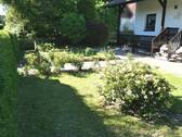 Eingangsbereich Wohnhaus - gepflegter Vorgarten - 