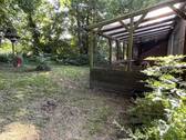Weg zur Terrasse - 