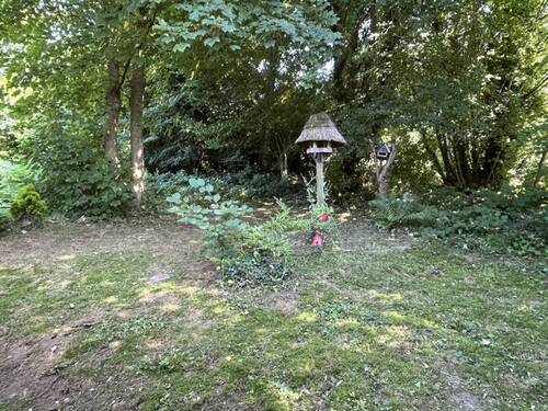 Garten Blick von der Terrasse - 