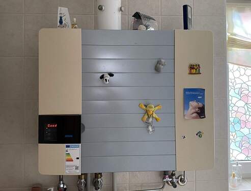 Erdgas-Zentralheizung - 