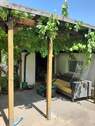 neu 2 - 