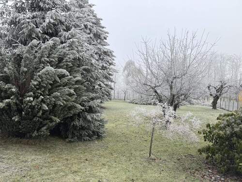 unterer Grundstücksbereich - 