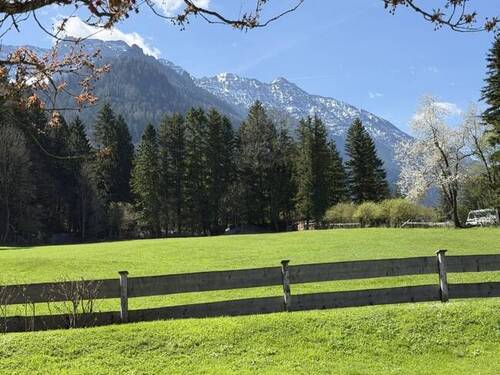 ...freier Blick - 