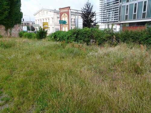 Ansicht von Norden/Blick auf Trebbiner Straße - Baugrundstück in attraktiver Lage mit Entwicklungspotenzial