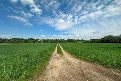 Zuweg zum Grundstück! - Landwirtschaftliches Grundstück am Ortsrand von Günding (Gde. Bergkirchen) zu verkaufen!