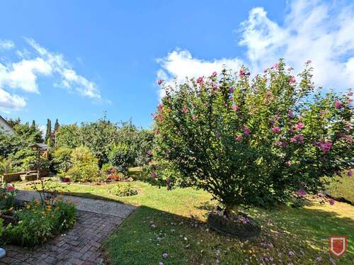 Garten.. - Einfamilienhaus mit 126,60 m² in Vellmar zum Kaufen