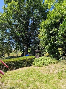 Garten - 5 Zimmer Doppelhaushälfte in Mustin