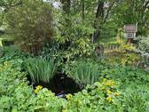 Gartenteich - 