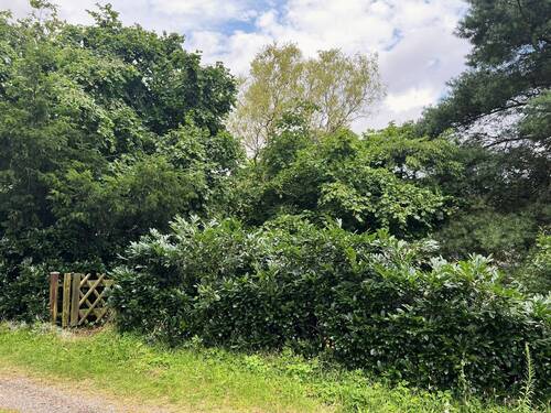 12 - Kopie.JPEG - 5 Zimmer Mehrfamilienhaus, Wohnhaus in Seehof