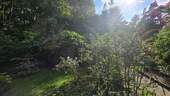 Blick in den Garten - 