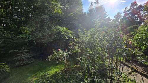 Blick in den Garten - 