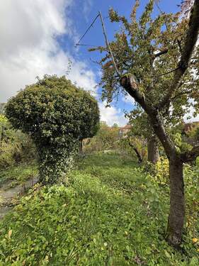 Garten - 5 Zimmer Reihenmittelhaus in Freiberg