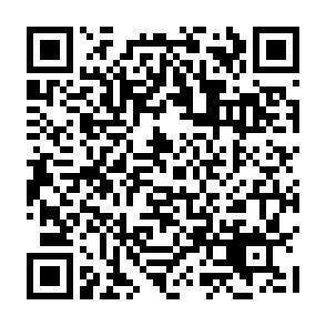 QR-Code - 