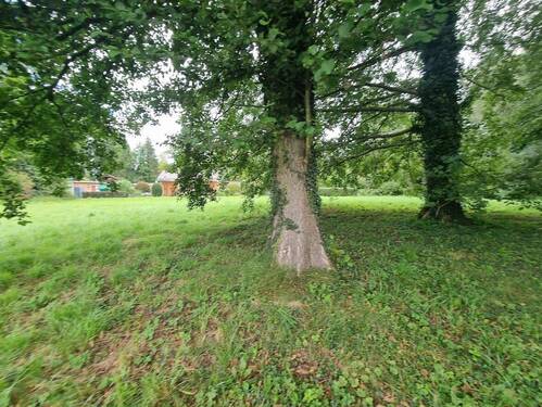 Grundstück zum Tetzensee - 