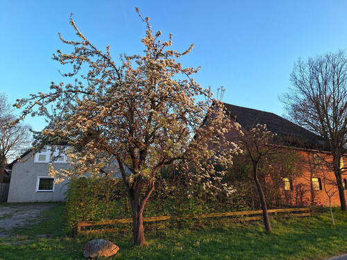 Straßensicht - Resthof mit Weide und großem Garten - ideal für Selbstversorger und Tierbesitzer - 1,37ha