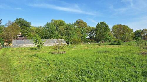 Obstwiese Südseite - 