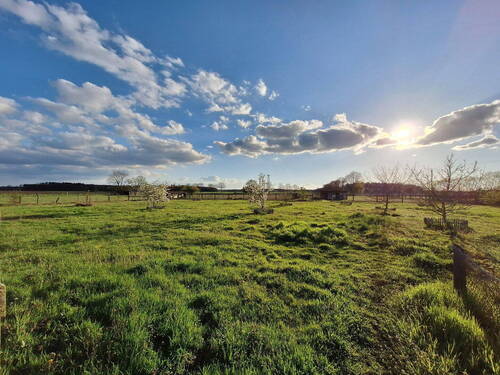 Obstwiese und Weide - 9 Zimmer Mehrfamilienhaus, Wohnhaus zum Kaufen in Wittingen