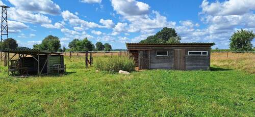 Stall mit Weide - 9 Zimmer Mehrfamilienhaus, Wohnhaus in Wittingen