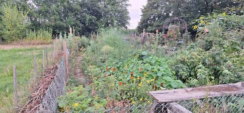 Garten Hügelbeet - Mehrfamilienhaus, Wohnhaus mit 245,00 m&sup2; in Wittingen zum Kaufen