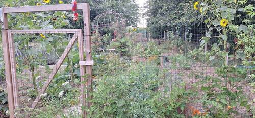 Garten - 