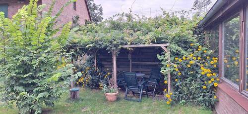 Innenhof Pergola - 