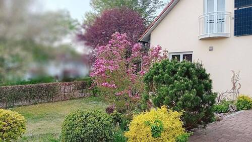 Blick in den vorderen Garten - 6 Zimmer Einfamilienhaus zum Kaufen in Donauwörth