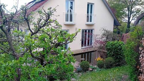 Im hinteren Garten - 