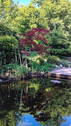 Teich - 