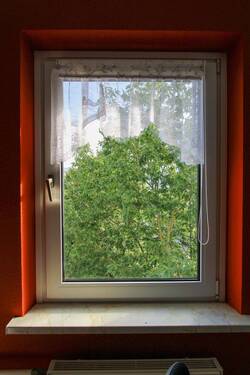 Detail: Blick aus dem Fenster - 