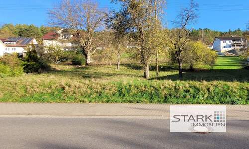 Ansicht Straßenseite.jpg - Sonniges Grundstück in ruhiger Ortslage von Grünsfeld-Hausen!