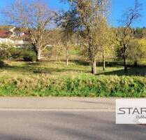 Sonniges Grundstück in ruhiger Ortslage von Grünsfeld-Hausen!