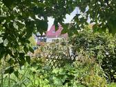 Blick zum Haus vom hinteren Garten - 