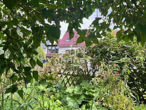 Blick zum Haus vom hinteren Garten - 