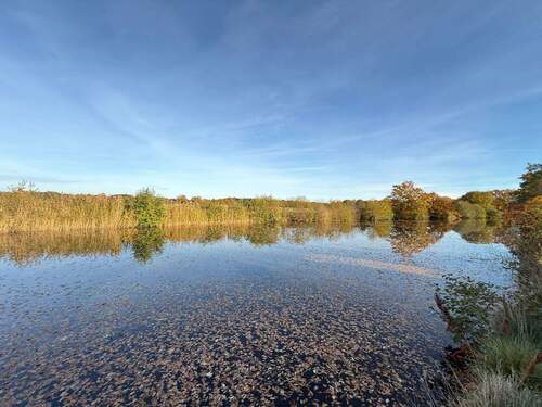 See mit Schilfufer - 