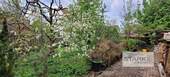 A Garten.jpg - 