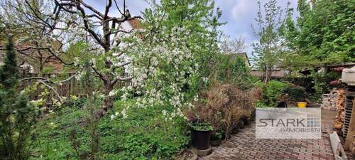 A Garten.jpg - 