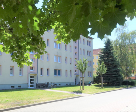 Detailansicht - 