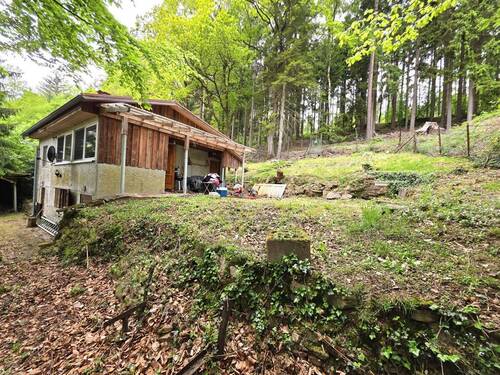 Außenansicht mit Garten II - 2 Zimmer Mehrfamilienhaus, Wohnhaus zum Kaufen in Helsa