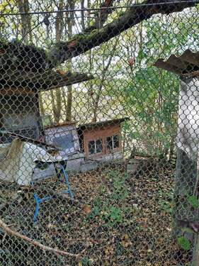 Hühner und Hasenställe - 