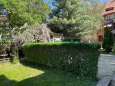 Gepflegter Innenhof - 
