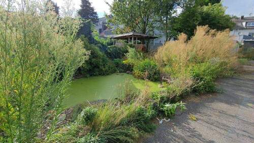 Teich - 