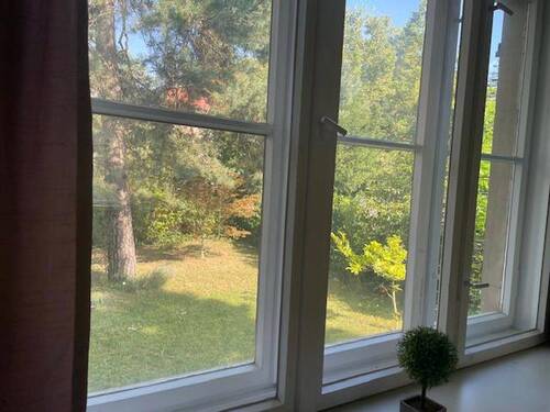 Blick vom WZ in den Garten - 