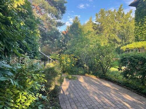 Blick zur Terrasse v. vorn - 